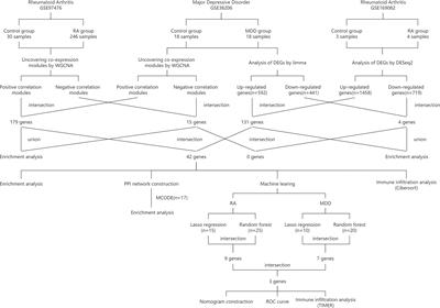 Identification of common genetic characteristics of rheumatoid arthritis and major depressive disorder by bioinformatics analysis and machine learning